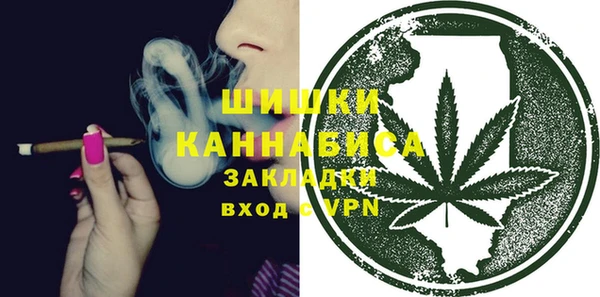 молекула духа Волоколамск