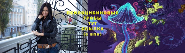 apvp Володарск