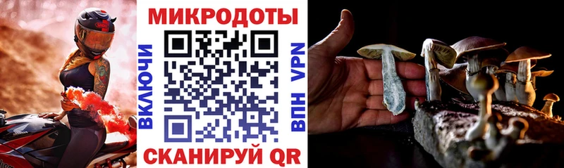 Псилоцибиновые грибы Psilocybine cubensis  darknet как зайти  Лосино-Петровский 